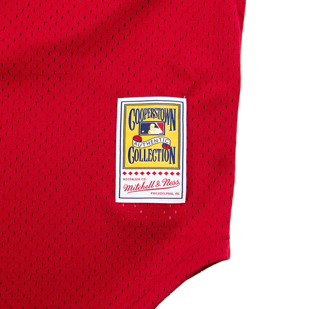 Mesh BP Jersey (Reds Rose) - Image 3